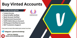 Buy Vinted Accounts